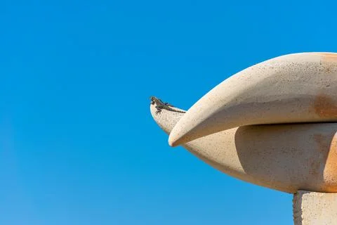 Lizard basking on the top of the mountain under the sun Stock Photos