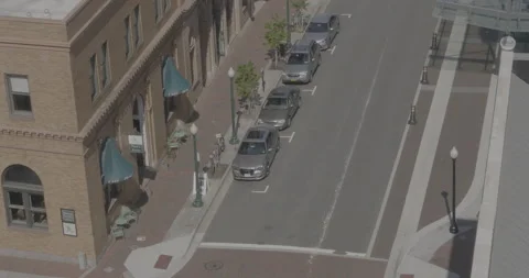 Lizard Cafe Stock Footage 168113082