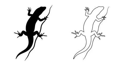 Lizard climbing a vine vector silhouette illustration set with black silhouet Stock Illustration