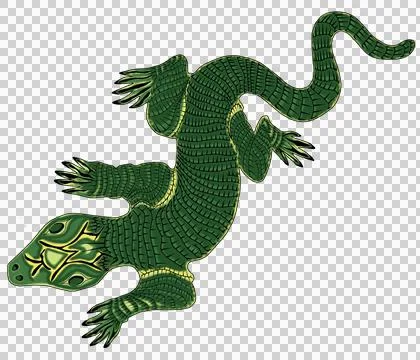 Lizard Color Stock Illustration