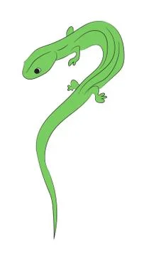Lizard color vector Stock Illustration