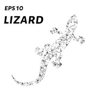 The lizard consists of points, lines and triangles. The polygon shape in th.. Stock Illustration