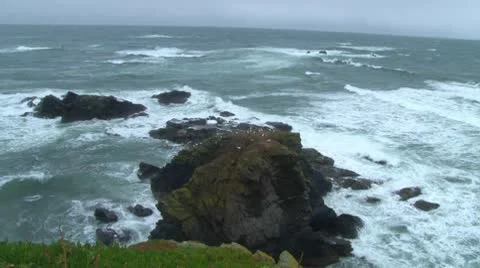 The Lizard, Cornwall Stock Footage 8953070