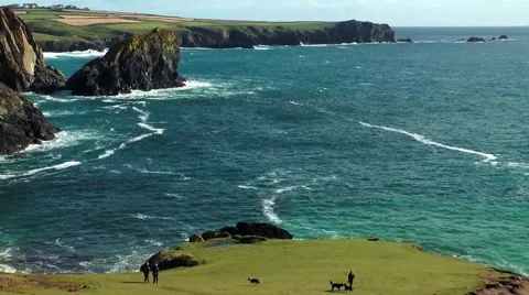 Lizard, Cornwall, people playing with their dogs Stock Footage 49958425