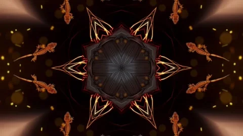 Lizard Dance Kaleidoscope Stock Footage 246371048