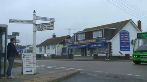 The Lizard Stock Footage 8953049