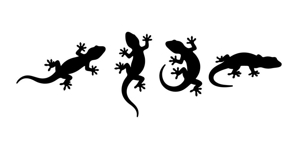 Lizard Gecko Silhouette Vector Set for Wildlife Reptile 스톡 일러스트