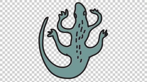 Lizard hand drawn animation line sketch with transparent background Stock Footage 44208359