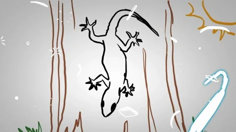 Lizard - Hand Drawn - Animation - outli... | Stock Video | Pond5