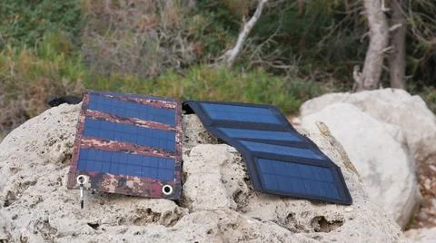 The lizard has climbed a rock and looks at the solar panels 스톡 사진