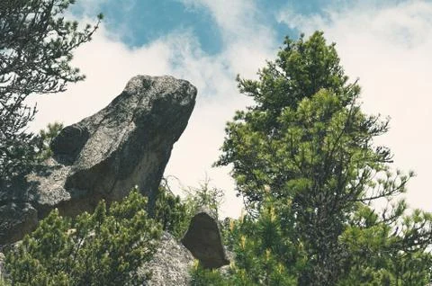 Lizard Head Rock Stock Photos