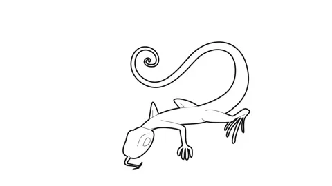 Lizard icon animation Stock Footage 161043645