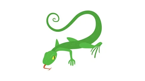 Lizard icon animation Stock Footage 168928019