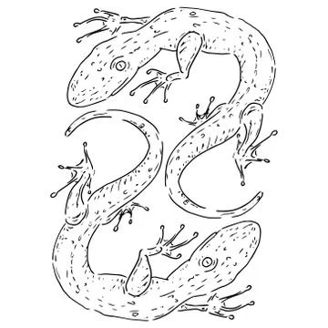 Lizard icon. Vector illustration of a lizard. Hand drawn lizard. Stock Illustration