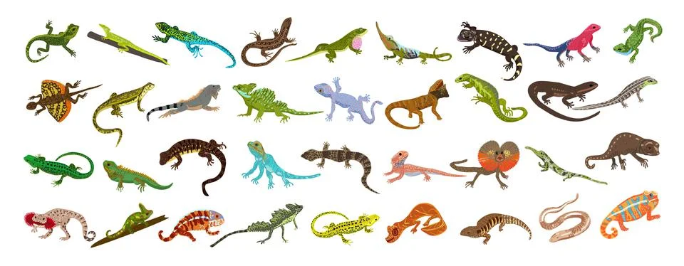 Lizard icons set cartoon vector. Chameleon gecko Stock Illustration