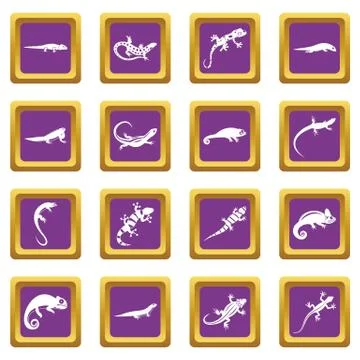 Lizard icons set purple Stock Illustration