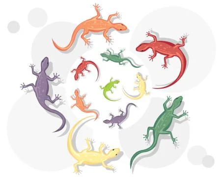 Lizard Stock Illustration