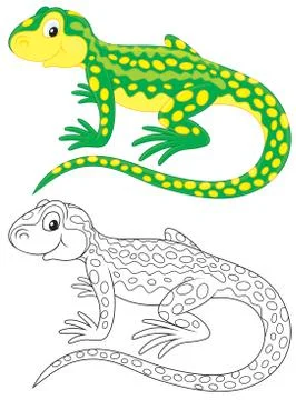 Lizard Stock Illustration