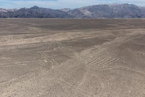 The Lizard image of Nazca lines, Peru Stock Photos