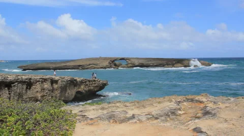 Lizard Island Oahu 스톡 동영상 993281