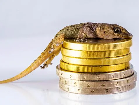 A lizard is laying on top of a stack of coins Stock Photos