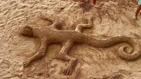 The lizard made of sand on the beach. Gran Canaria island. Stock Footage 308504665