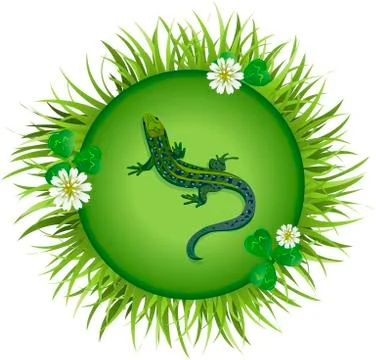 Lizard on a meadow Stock Illustration