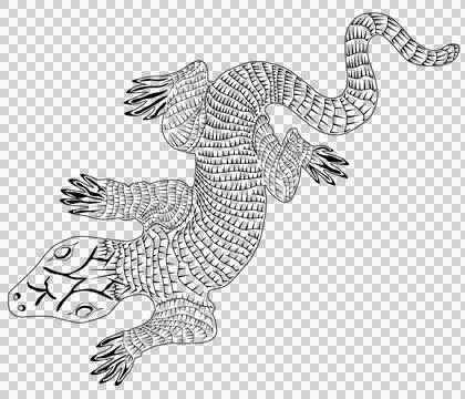Lizard Outline Stock Illustration