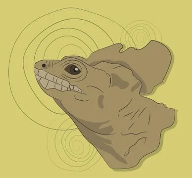 Lizard portrait, on a colored background Illustrazione stock