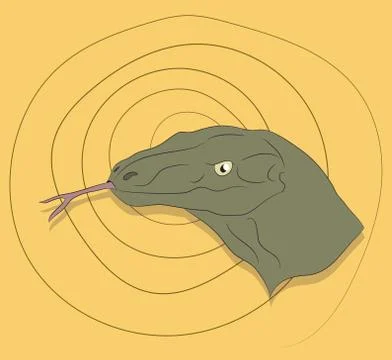 Lizard portrait, on a colored background Illustrazione stock