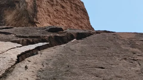 Lizard Resting on Rocky Cliff Face in Natural Habitat Stock Footage 323301622