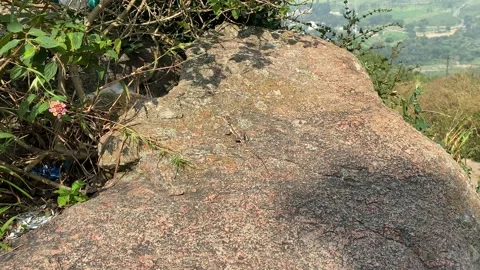 Lizard on rock, lizard on mountain rock Vídeos de archivo 163754136