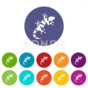 Lizard set icons Stock Illustration ~ Graphic #82405024