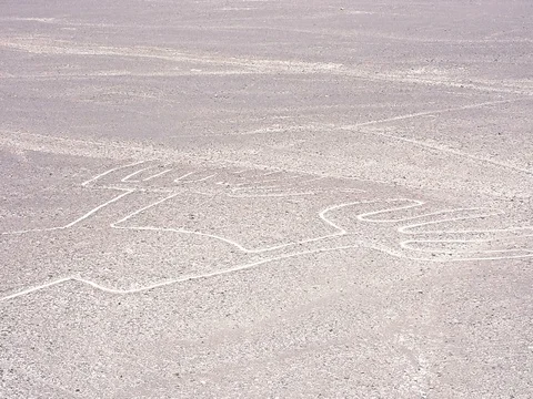 The Lizard shape in the Nazca Lines in Peru Video stock 78577191