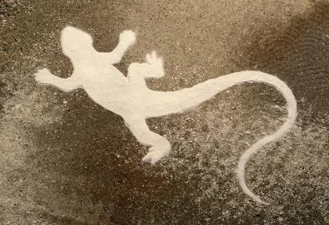 Lizard silhouette on brown sand surface silhouette of a pale lizard in dar... Stock Photos