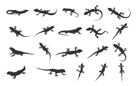 Lizard silhouette, Gecko lizard silhouette, Gecko silhouettes Stock Illustration