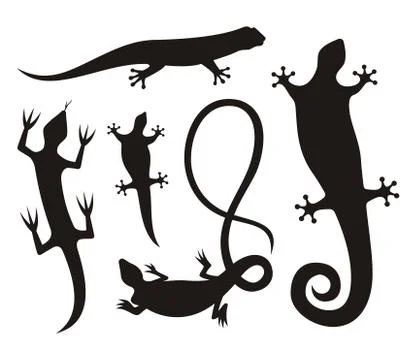 Lizard Silhouette Icons Stock Illustration