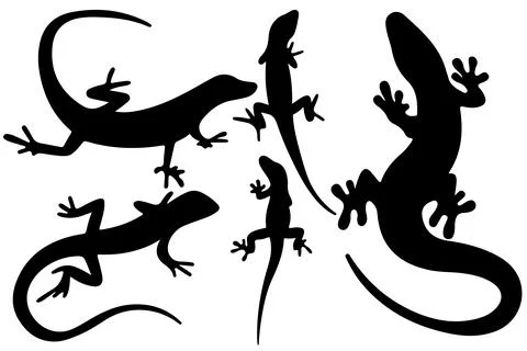 Lizard silhouette vector for websites, graphics related artwork Stock Illustration