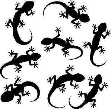 Lizard silhouettes set in various angles, minimal simple vector cartoon Stock Illustration