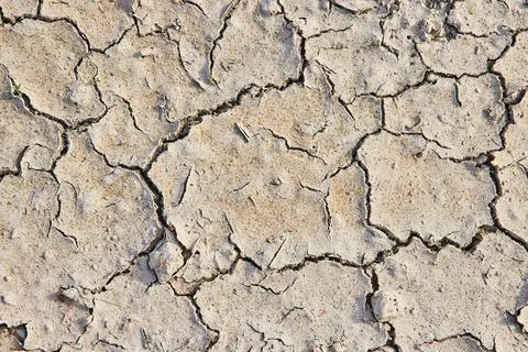 Lizard skin pattern, cracked caked dirt background asset, jagged lines Stock Photos