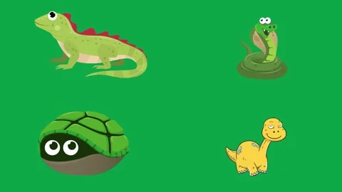 Lizard Snake Turtle Dinosaur animation on green screen minimal animated Video stock 334704441