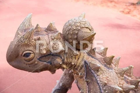 Lizard statue, National Botanical Gardens, Canberra, Australia Stock Photos