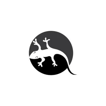 Lizard symbol icon vector Stock Illustration