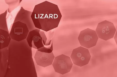 LIZARD - technology and business concept Stock Photos