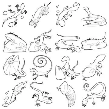 Lizard type animals icons set, outline style Stock Illustration