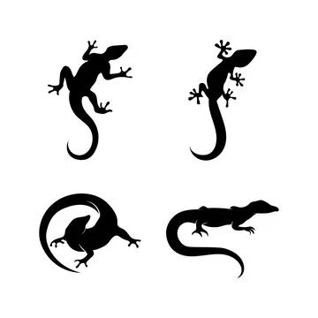 Lizard vector, design, animal, and reptile, gecko Stock Illustration
