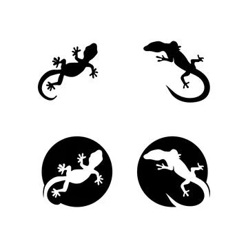 Lizard vector, design, animal, and reptile, gecko Stock Illustration