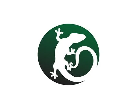 Lizard vector, design, animal, and reptile, gecko Stock Illustration
