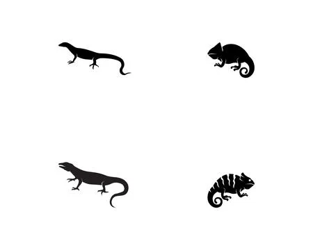 Lizard vector, design, animal, and reptile, gecko Stock Illustration