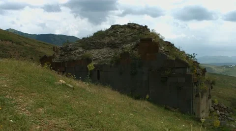 Lizard Walking up a Wall 库存影片 53232608